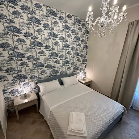 Lucchese Couette-café *